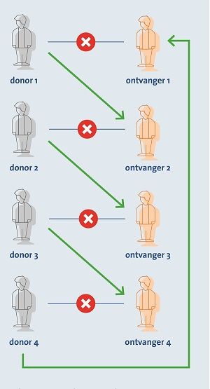 Hier ziet u een plaatje van een dominotransplantatie. In de tekst hierboven staat uitgelegd dat een dominotransplantatie meer transplantaties mogelijk maakt. Soms zijn er wel 4 donoren en 4 ontvangers