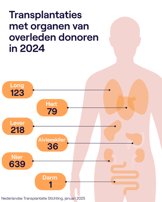Transplantaties met organen van overleden donoren in 2024