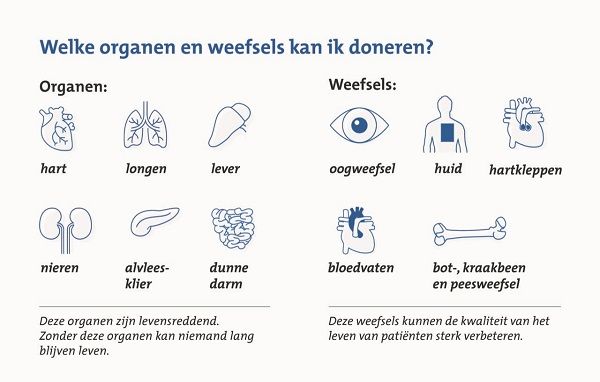Op dit plaatje ziet u welke organen en weefsels u kunt doneren