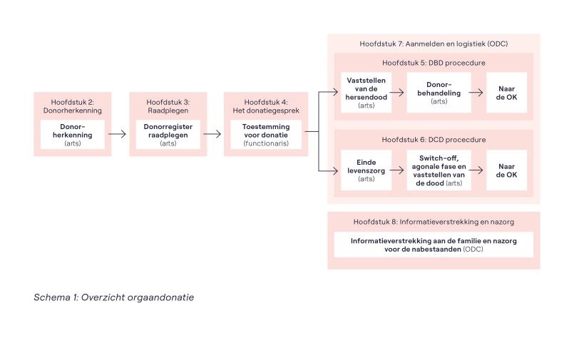 In dit schema van het Modelprotocol ziet u een overzicht van het orgaandonatieproces.