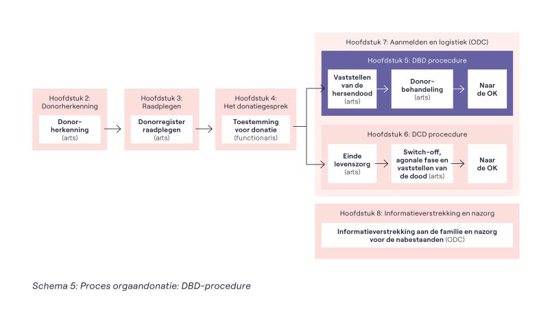 Schema 5 Proces orgaandonatie DCD procedure