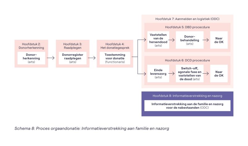 In dit schema staat dat de informatieverstrekking en zorg voor de familie een proces vormen dat tijdens de gehele procedure loopt.