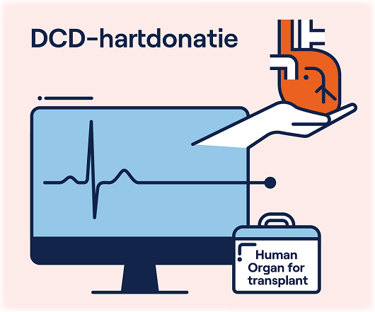 Door hieronder op het plaatje of de button te klikken, krijgt u de procedure van de DCD-hartdonatie te zien.